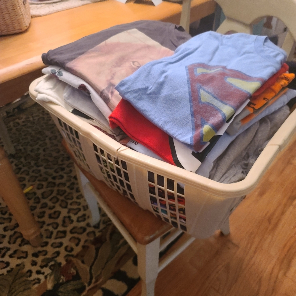 55 Tshirts mixed sizes s-xxl Closet Clean OUT